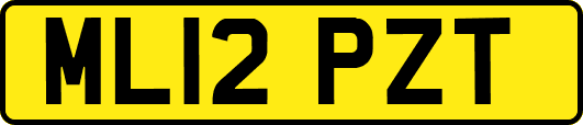 ML12PZT