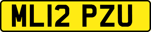 ML12PZU