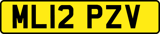 ML12PZV