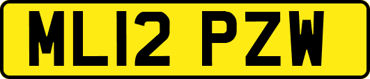 ML12PZW