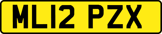 ML12PZX