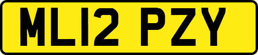 ML12PZY