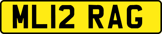 ML12RAG