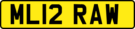ML12RAW