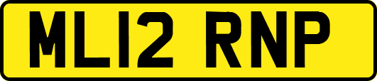 ML12RNP