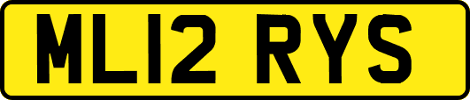 ML12RYS