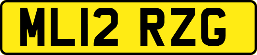 ML12RZG