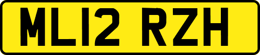 ML12RZH