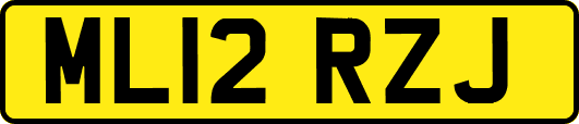 ML12RZJ