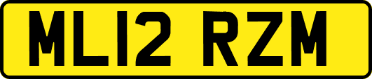 ML12RZM