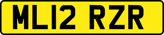 ML12RZR