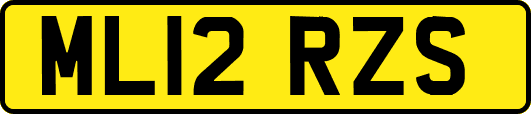 ML12RZS