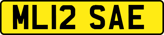 ML12SAE