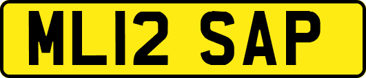 ML12SAP