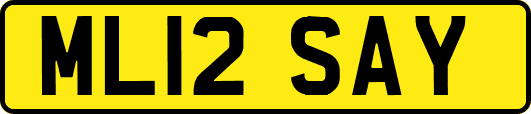 ML12SAY