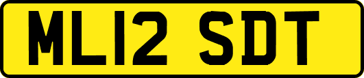 ML12SDT