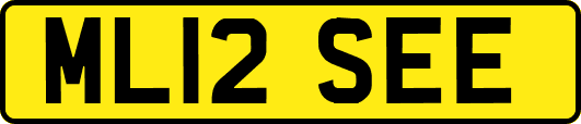 ML12SEE