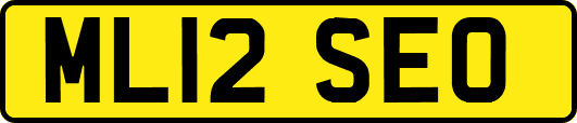 ML12SEO