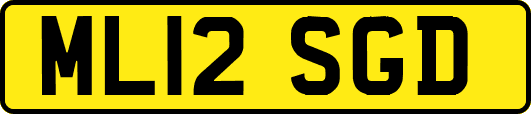 ML12SGD