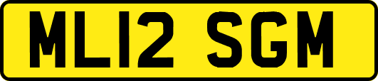 ML12SGM