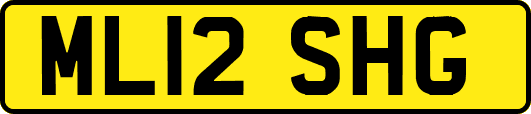ML12SHG