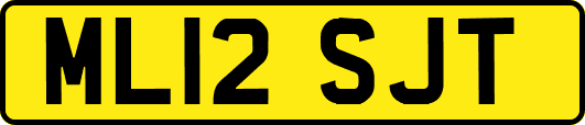 ML12SJT
