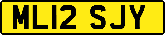 ML12SJY