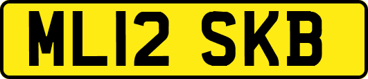 ML12SKB