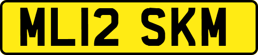 ML12SKM