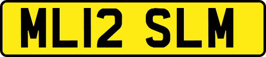 ML12SLM