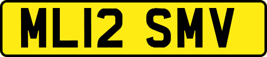 ML12SMV