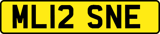 ML12SNE