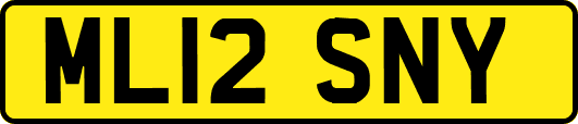 ML12SNY