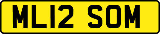 ML12SOM