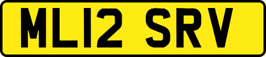 ML12SRV