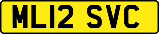 ML12SVC