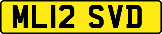 ML12SVD