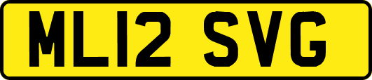 ML12SVG
