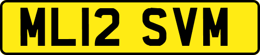 ML12SVM