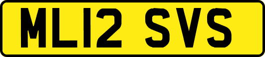 ML12SVS