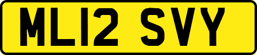 ML12SVY