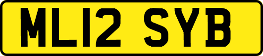 ML12SYB