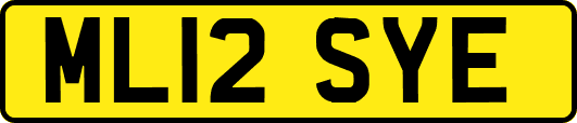 ML12SYE