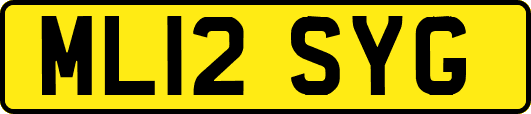 ML12SYG