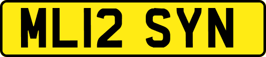 ML12SYN