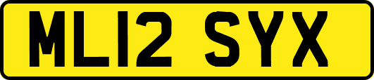 ML12SYX