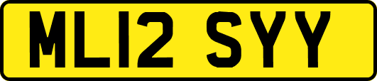 ML12SYY