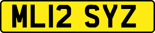ML12SYZ