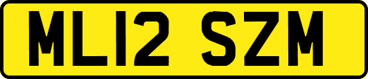 ML12SZM