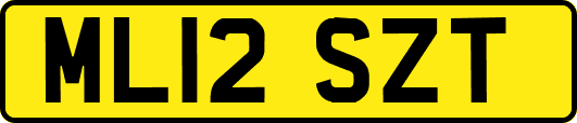 ML12SZT